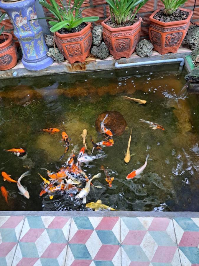 Hoa Lan Motel & Homestay Giong Tu Dien Exterior photo